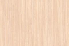 8622_Milky Oak